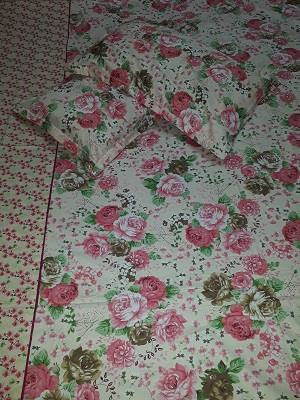 Florida Double Cotton Print Bedsheet by Nandini Handicrafts Jaipur
